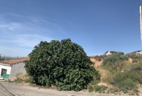Alfaro 189&nbsp;m² 