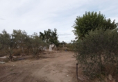 Terreny no urbanitzable en venda a Alfaro ref.: TR181004 foto