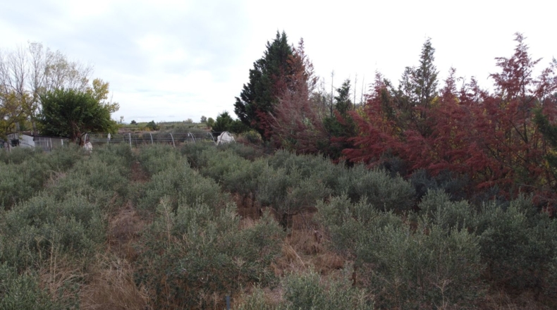 La Rioja - Alfaro - 3550m2