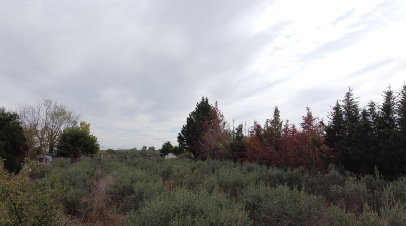 La Rioja - Alfaro - 3550m2