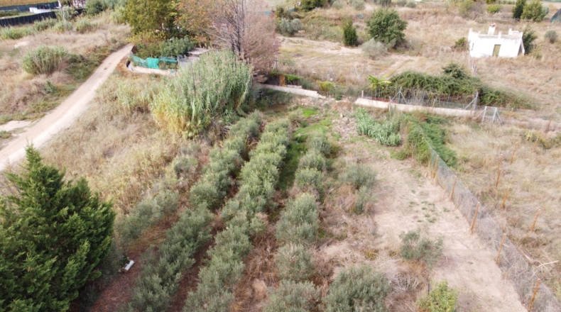 La Rioja - Alfaro - 3550m2