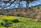 Non-developable land for sale in Cereceda ref: TR22349 photo