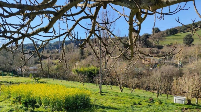Burgos - Cereceda - 2637m2