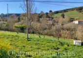Non-developable land for sale in Cereceda ref: TR22349 photo