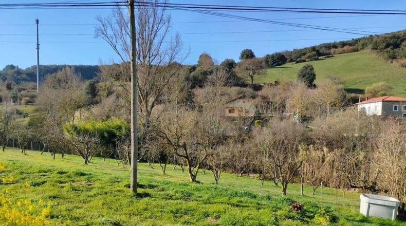 Burgos - Cereceda - 2637m2