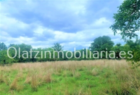 Mercadillo (Entrambasaguas) 2200&nbsp;m² 