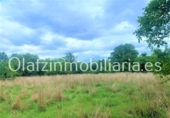 Urban land for sale in Mercadillo (Entrambasaguas) ref: TR54045 photo