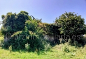 Finca rústica en venta en Respaldiza ref: TR257561 foto