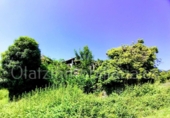 Finca rústica en venta en Respaldiza ref: TR257561 foto