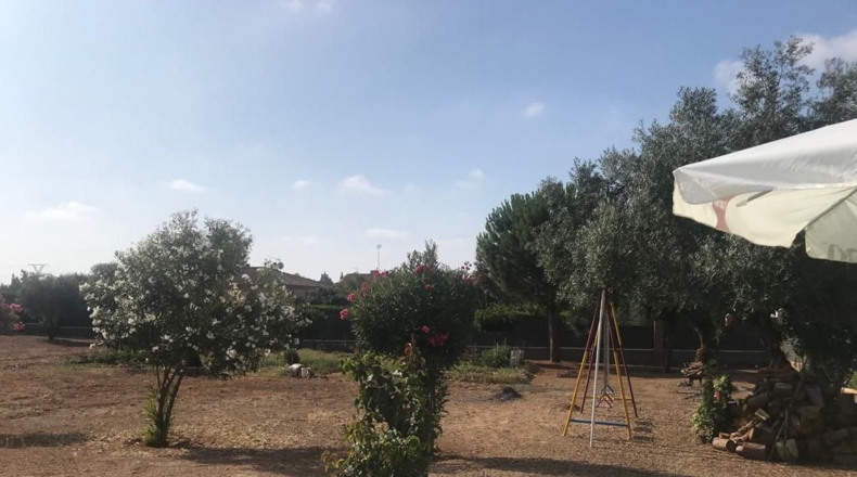 Badajoz - Almendralejo - 3000m2