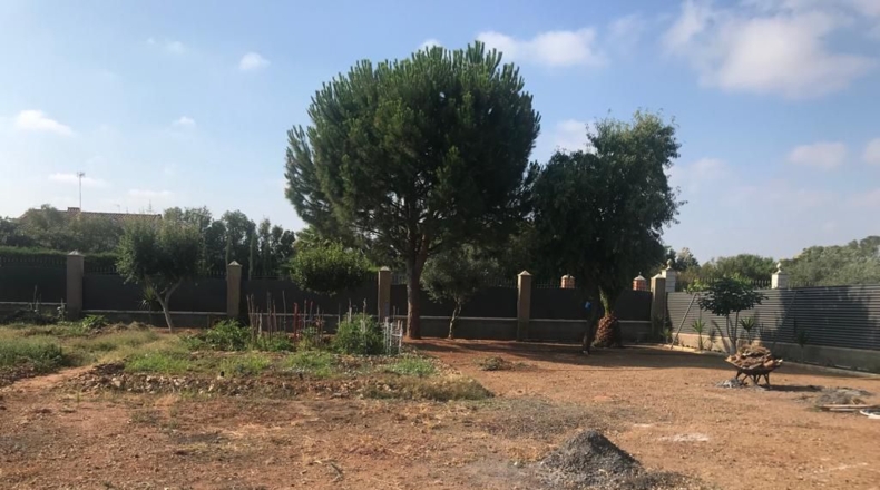 Badajoz - Almendralejo - 3000m2
