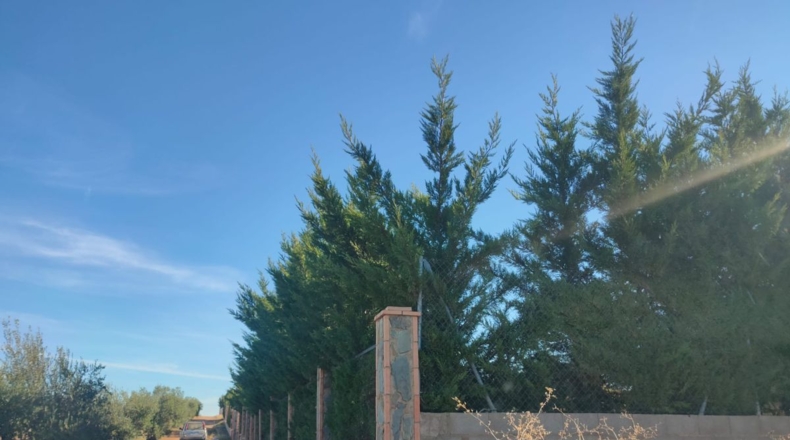 Badajoz - Almendralejo - 1000m2