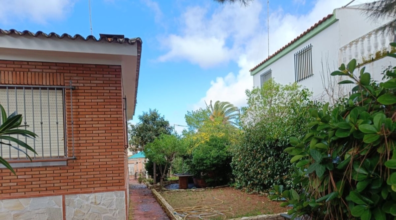 Badajoz - Almendralejo - 250m2