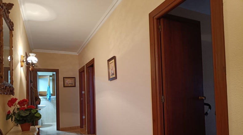Badajoz - Almendralejo - 250m2