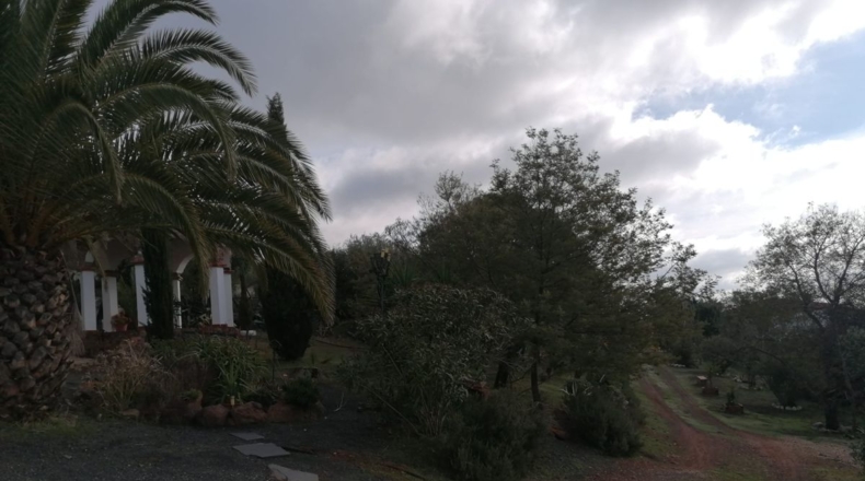 Badajoz - Alange - 3266m2