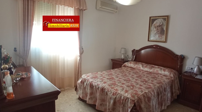 Sevilla - Alcalá de Guadaíra - 772m2