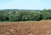 Terreno no urbanizable en venta en Arriate ref: TR109860 foto