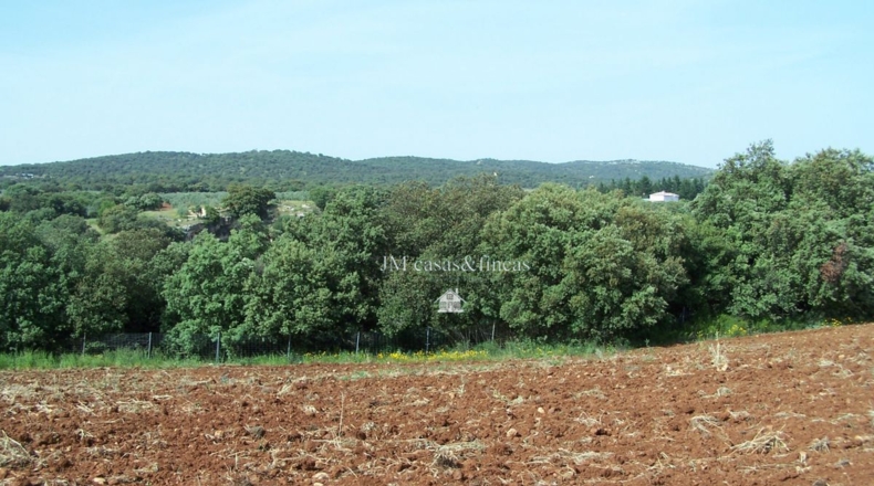 Malaga - Arriate - 30000m2