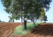 Terreno no urbanizable en venta en Arriate ref: TR109860 foto