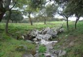Finca rústica en venda a Ronda ref.: TR29814 foto