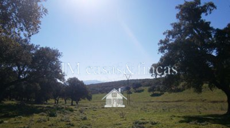 Málaga - La Planilla - 330000m2
