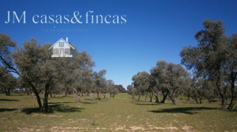 Málaga - La Planilla - 330000m2