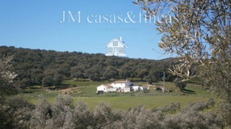 Málaga - La Planilla - 330000m2