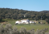Finca rústica en venda a Ronda ref.: TR29814 foto