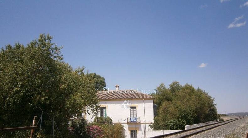 Málaga - Parauta - 22000m2