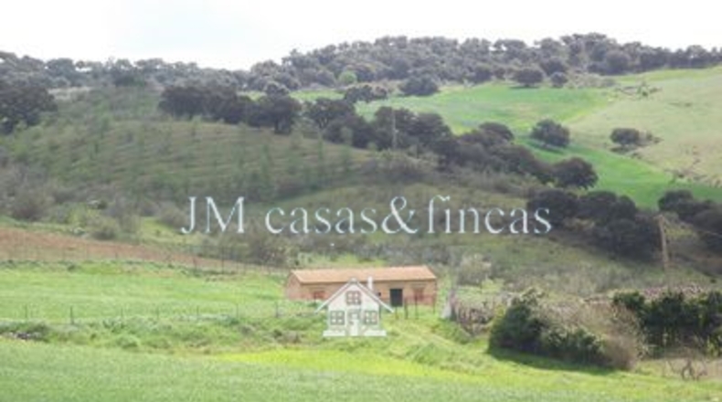 Málaga - Alpandeire - 65m2