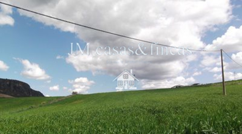 Málaga - Alpandeire - 65m2