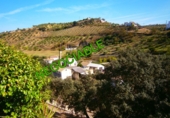 Finca rústica en venda a Setenil de las Bodegas ref.: TR41364 foto
