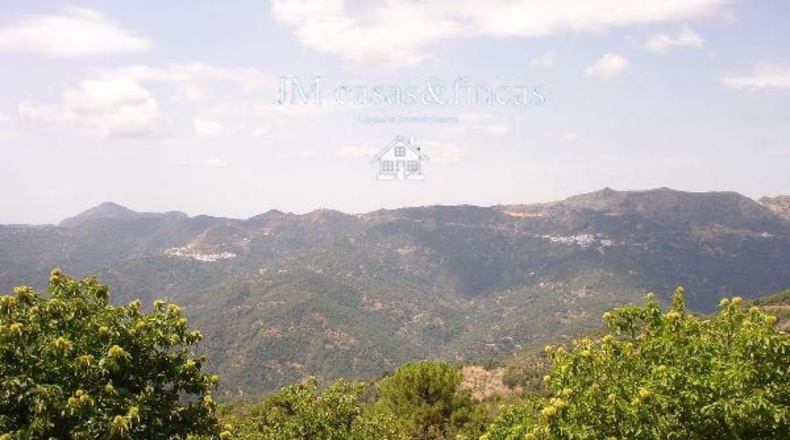 Málaga - Jubrique - 2m2