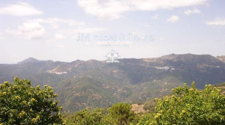 Málaga - Jubrique - 2m2