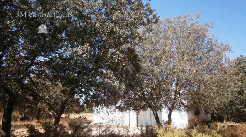 Málaga - La Planilla - 11000m2
