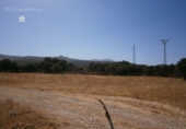 Rural estate for sale in Ronda ref: TR22881 photo