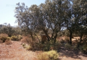 Rural estate for sale in Ronda ref: TR22881 photo