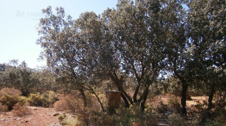 Málaga - La Planilla - 11000m2