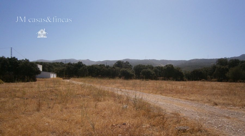 Málaga - La Planilla - 11000m2