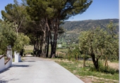Finca rústica en venta en Ronda ref: TR29834 foto