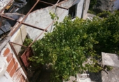 Дом с участком на продажу в городе Ронда. Фото