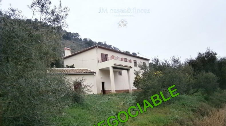 Cádiz - Torre Alháquime - 50000m2