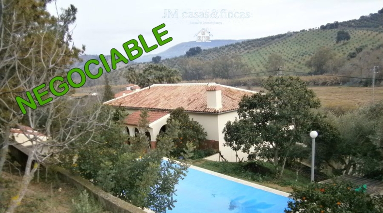 Cádiz - Torre Alháquime - 50000m2
