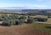 Finca rústica en venda a Ronda ref.: TR188384 foto