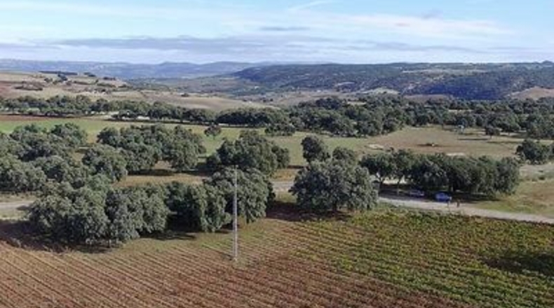 Málaga - Ronda - 260m2