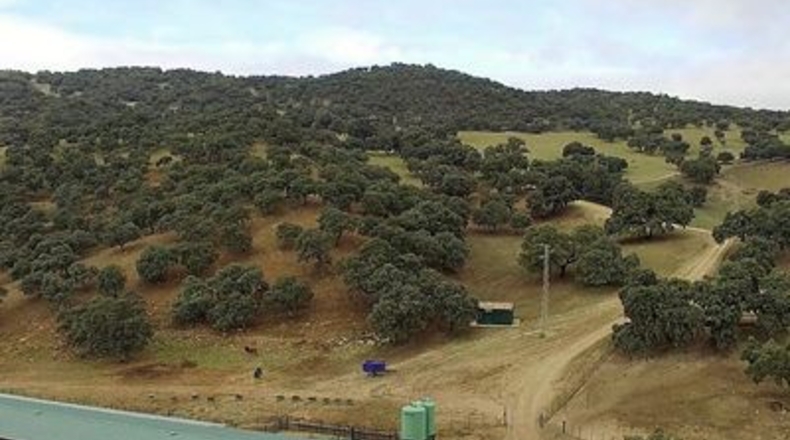 Málaga - Ronda - 260m2