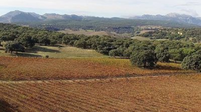 Málaga - Ronda - 260m2