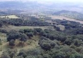 Finca rústica en venda a Ronda ref.: TR188384 foto