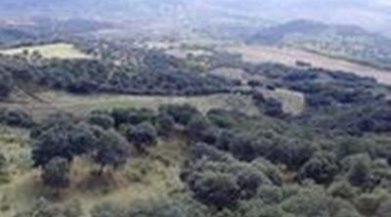 Málaga - Ronda - 260m2