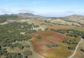 Finca rústica en venda a Ronda ref.: TR188384 foto